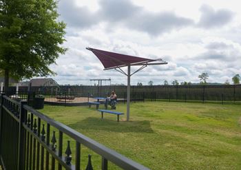 Dog Park at The Shallowford, Chattanooga, Tennessee